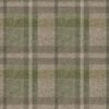 Scotland_T38