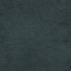 Ellison_9491_pl