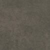 Ellison_9811_pl