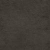 Ellison_9981_pl