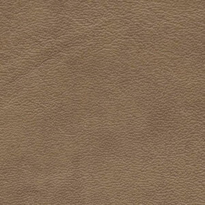 Sauvage