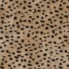 Africa_cheetah_T44