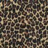 Africa_gepard_T34