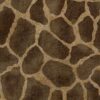 Africa_Giraffe_T54