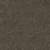 Africa_skin_T44