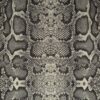 Africa_Snake_T02