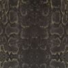 Africa_snake_T66