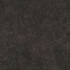 Deneris_9981